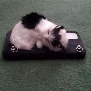 iphone11 fuzzy cat phone case